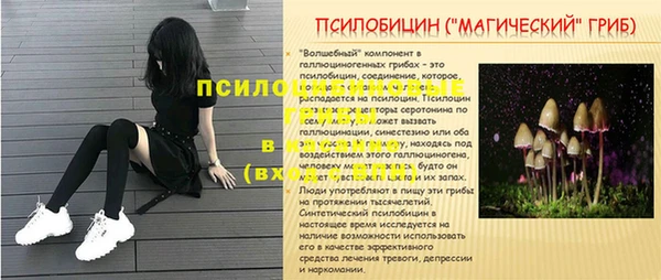a pvp Липки