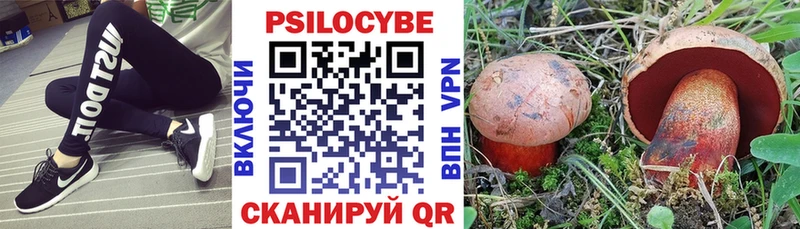 Псилоцибиновые грибы Magic Shrooms  Купить  Сенгилей 